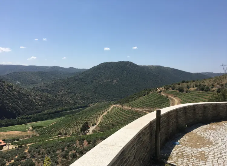 Douro Valley Viewing Point