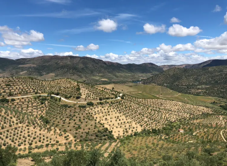 View of rural Spain fields and mountains