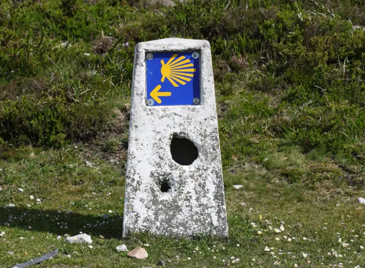 Camino