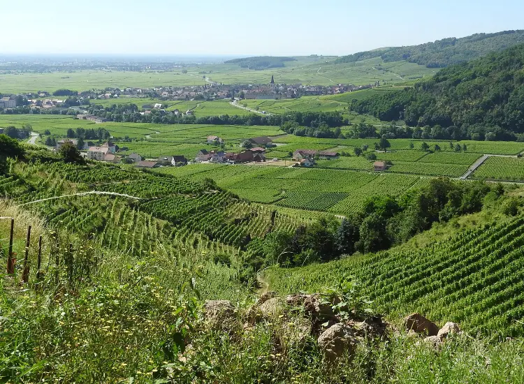 Grand Ballon Mountain View