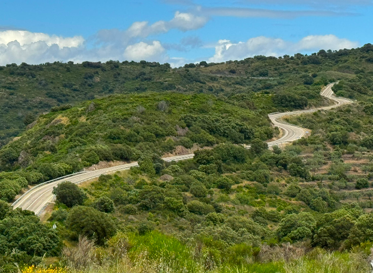 Curvy Road